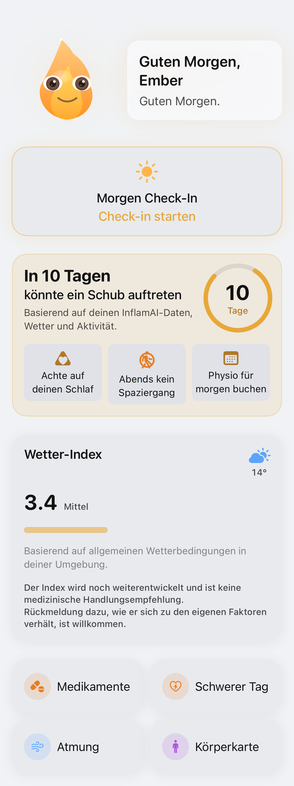 Gerendertes Konzept-Bild einer möglichen späteren InflamAI-Version, Beispieldaten, keine Funktion der App